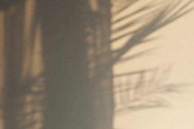 Yapraklı Gri Beton Duvar. Gölge desenli. Sıvanın dokusu....