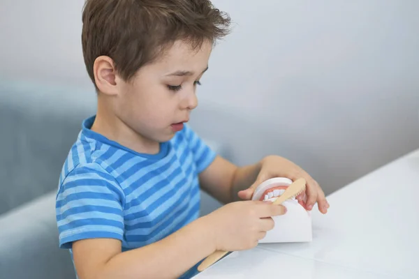 Κοντινό μοντέλο ανθρώπινου σαγονιού με λευκά δόντια. μικρό αγόρι μαθαίνει να βουρτσίζει τα δόντια του με οδοντιατρική διάταξη γνάθου. — Φωτογραφία Αρχείου