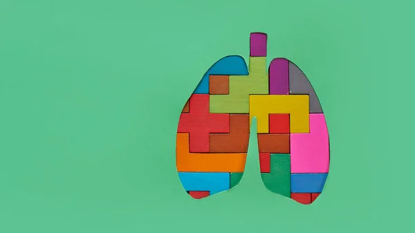 Thérapie pulmonaire concept médical. poumons silhouette légère de puzzles en bois et un stéthoscope sur un fond vert. concept de maladie respiratoire, pneumonie, tuberculose, bronchite — Photo