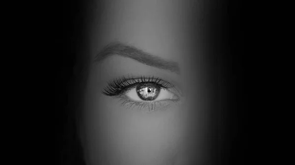 gizli yüz göz casusluk konseptini kapat.