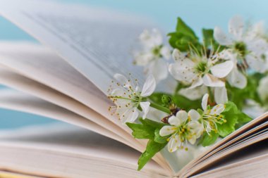 Samimi ev hayatı: Bahar çiçekleri ve sıcak ekoseyle açılan kitap. İlkbahar konsepti, bedava fotokopi alanı. Sihirli bokeh arka planı. Sabah olumlamaları konsepti