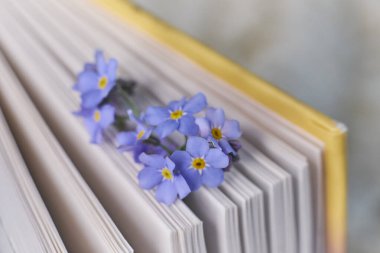 Makro fotoğraf, bahar çiçekli açık kitaplar nostaljik romantik ruh hali konsepti.