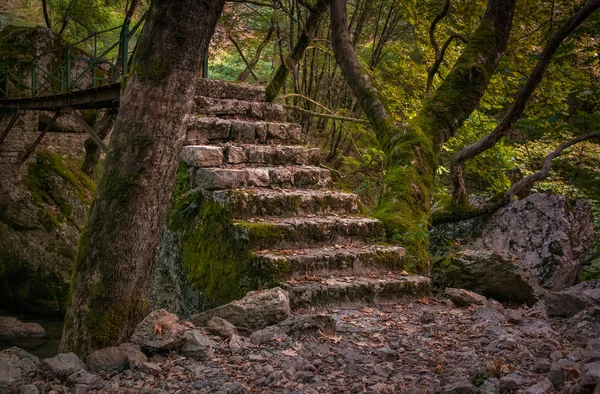 老风化木材、 条与布莱德路 mountaints，希腊在楼梯上 — 图库照片