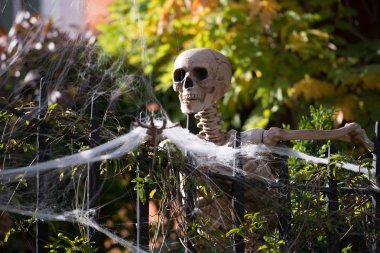 Helloween iskelet onun arn genişletme