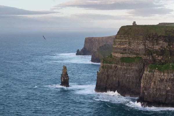 Moher sziklái, Írország — Stock Fotó