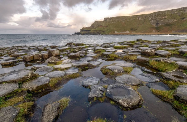 Giant's causeway Észak-Írországban — Stock Fotó