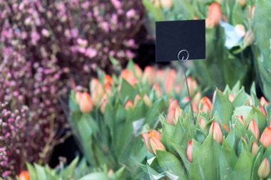 Lale buketleri siyah etiketli satır