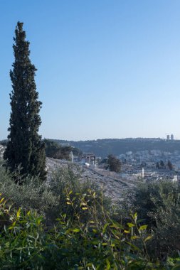Mount of Olives Yahudi Mezarlığı