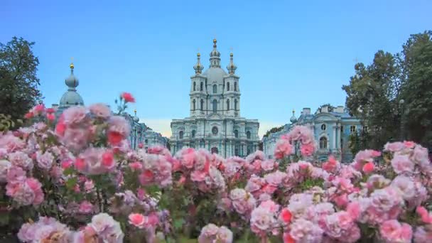 Rózsaszín virágok és a templom Stock Felvétel
