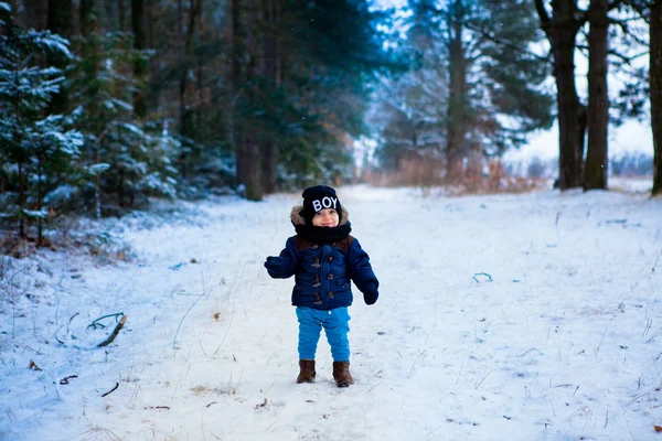 Felice Piccolo Bambino Che Chiede Fiocchi Neve Nella Foresta Invernale — Foto Stock