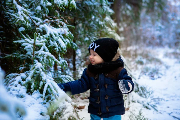 Felice Piccolo Bambino Che Chiede Fiocchi Neve Nella Foresta Invernale — Foto Stock