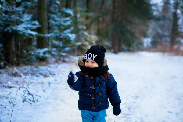 Szczęśliwy Chłopiec Malucha Zastanawiasz Się Śniegu Płatki Lesie Zimą Mały — Zdjęcie stockowe