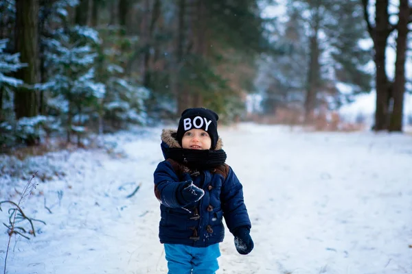 Felice Piccolo Bambino Che Chiede Fiocchi Neve Nella Foresta Invernale — Foto Stock