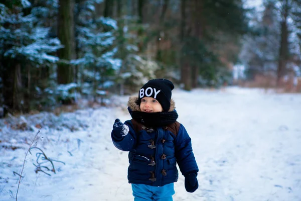 Szczęśliwy Chłopiec Malucha Zastanawiasz Się Śniegu Płatki Lesie Zimą Mały — Zdjęcie stockowe