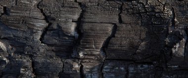 Yanmış günlükleri doku close-up. Kömürleşmiş ahşap arka plan