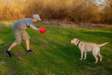 Adam köpek eğitiyor. Köpek eğitmek. A evde beslenen hayvan ile oynamak. Köpek işleyici