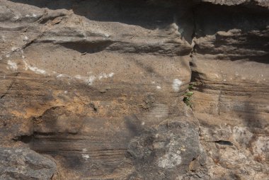 Taşın yüzey yapısı, arka plan olarak kullanılır. Taş dokusu. Doğal kayalar