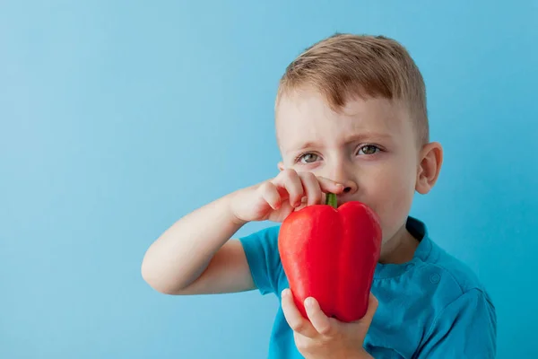 Criança segurando pimenta em suas mãos no fundo azul. Vegan e conceito saudável — Fotografia de Stock