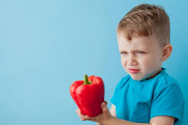 Little kid holding pepper in his hands on blue background. Vegan and healthy concept — Stock Photo, Image