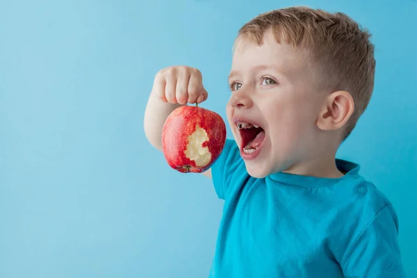 Baby child holding and eating red apple on blue background, food — Stock Photo, Image