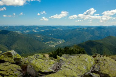 Orman ve bulutlu gökyüzü ile kaplı dağ zirveleri ile güzel dağ manzara. Ukrayna dağları, Avrupa