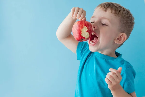 Bebê criança segurando e comendo maçã vermelha no fundo azul, comida — Fotografia de Stock