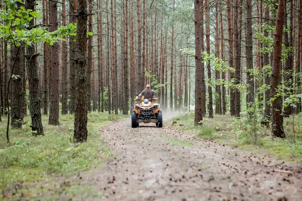 Uomo a cavallo di un quad giallo ATV tutti i veicoli terreno su una foresta sabbiosa. Sport estremi moto, avventura, attrazione turistica . — Foto Stock