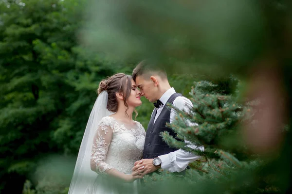 Bella coppia di sposi che passeggia nel bosco. Siamo in luna di miele. Sposa e sposo che si tengono per mano nella pineta . — Foto Stock