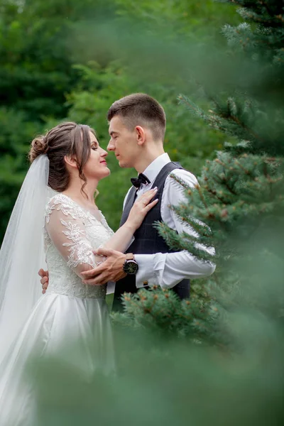 Krásný novomanželský pár procházející se v lese. Líbánky. Nevěsta a ženich drží ruku v borovém lese. — Stock fotografie