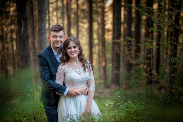 Novia y novio en el bosque en su boda, sesión de fotos . —  Fotos de Stock