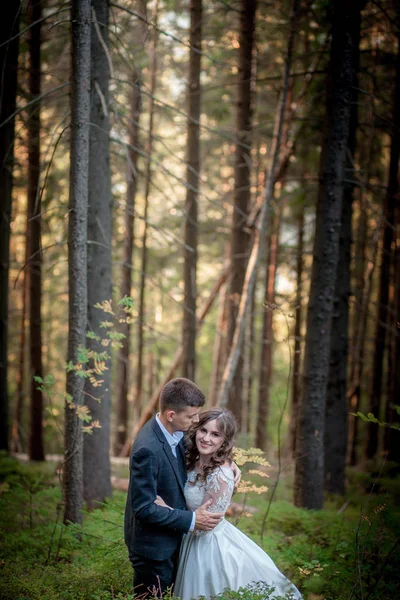 Novia y novio en el bosque en su boda, sesión de fotos . —  Fotos de Stock