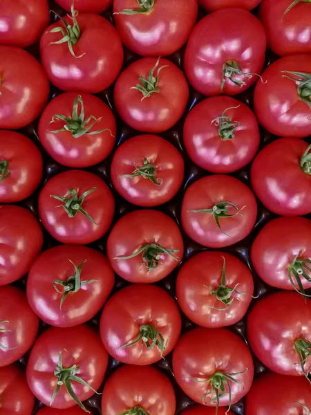 Grupo de tomates maduros formando um fundo, vista superior . — Fotografia de Stock