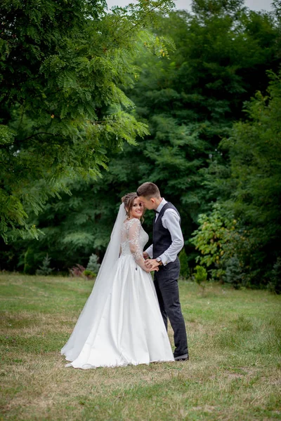 新郎新娘手牵着手,在花园的婚礼上漫步. 在公园森林里散步时牵着手的迷人的新婚夫妇的背影，幸福的婚姻时刻 — 图库照片