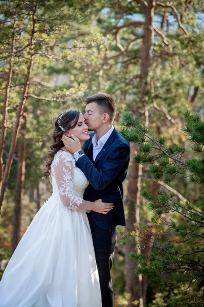 Krásné novomanželé objímající se na pozadí skal a hor. Na útesu stojí stylová nevěsta a krásná nevěsta. Svatební portrét. Rodinná fotka — Stock fotografie