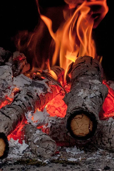 Hot vivid burning birch logs in fireplace on a cold winter day — Stock Photo, Image