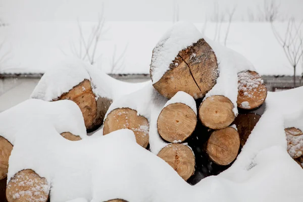 Cayeron árboles bajo la nieve. Materias primas para la industria maderera. Almacenamiento de madera al aire libre. Compañía maderera. Madera. Roundwood. Madera redonda —  Fotos de Stock