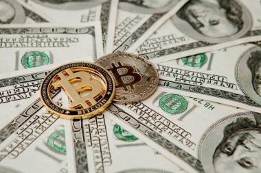 Amerikan dolarları üzerinde Bitcoin. Elektronik para değişimi kavramı