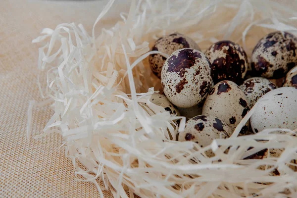 Ovos de codorna estão em um ninho Foco seletivo . — Fotografia de Stock