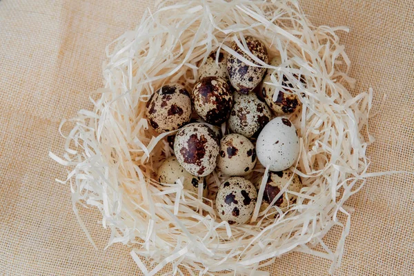 Quail eggs lie in a nest Selective focus. — Stock Photo, Image