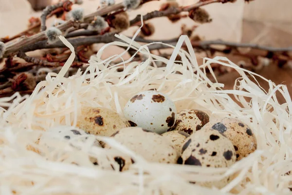 Ovos de codorna de Páscoa em ninho e ramo de salgueiro em um fundo de madeira — Fotografia de Stock