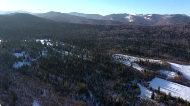 Aerial Drone View Mountain Forest Winter Landscape Fly Frozen Snowy — Stock Video
