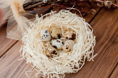 Easter quail eggs in nest and willow branch on a wooden backgrou