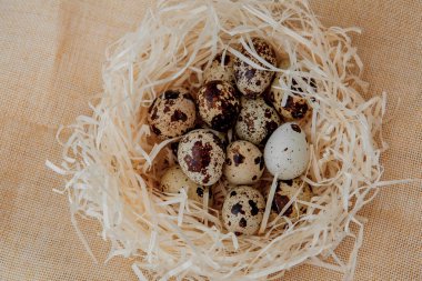 Bıldırcın yumurtaları seçici bir odak noktasında bulunur..