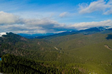 Dağlarda güzel bir bahar. Karpatlar 'ın yeri, Ukrayna, Avrupa. Güzellik dünyası