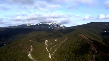 Dağlarda güzel bir bahar. Karpatlar 'ın yeri, Ukrayna, Avrupa. Güzellik dünyası