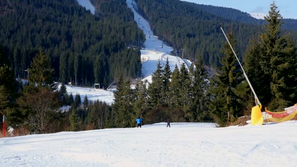 Jonge Volwassen Recreatieve Skiër Geniet Van Idyllisch Perfect Weer Koude — Stockvideo