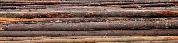 Houten Logboeken Van Dennenbossen Het Bos Gestapeld Een Stapel Vers — Stockfoto