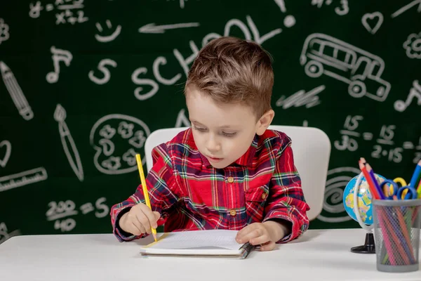 Netter Junge Der Hausaufgaben Macht Kluge Kinderzeichnung Schreibtisch Schuljunge Grundschüler — Stockfoto
