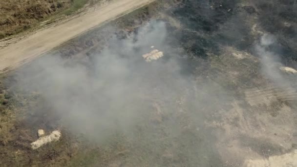 Air Pollution Caused Wildfires Clouds Smoke Burning Field Aerial Footage — Stock Video