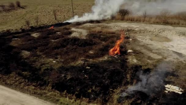 Luftföroreningar Orsakade Skogsbränder Rökmoln Ovanför Det Brinnande Fältet Flygbilder Episk — Stockvideo